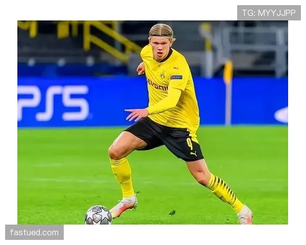 本泽马与哈兰德：全能中锋与终结机器对比分析