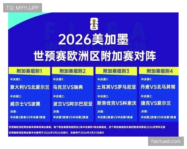 波黑国家队2026世界杯预选赛突围前景分析 黄金一代能否创造历史
